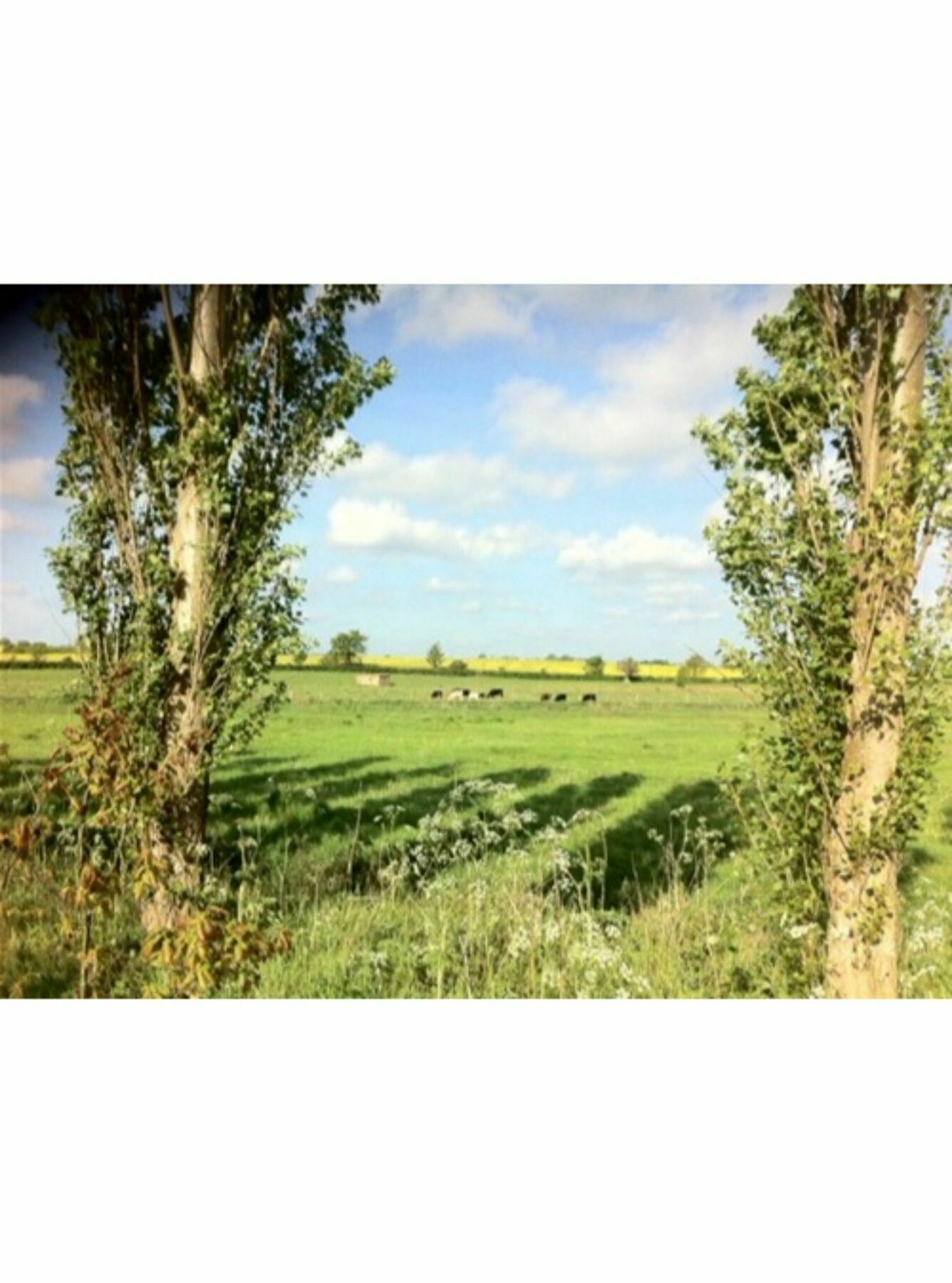Long Melford Accommodation, Old Stables Экстерьер фото